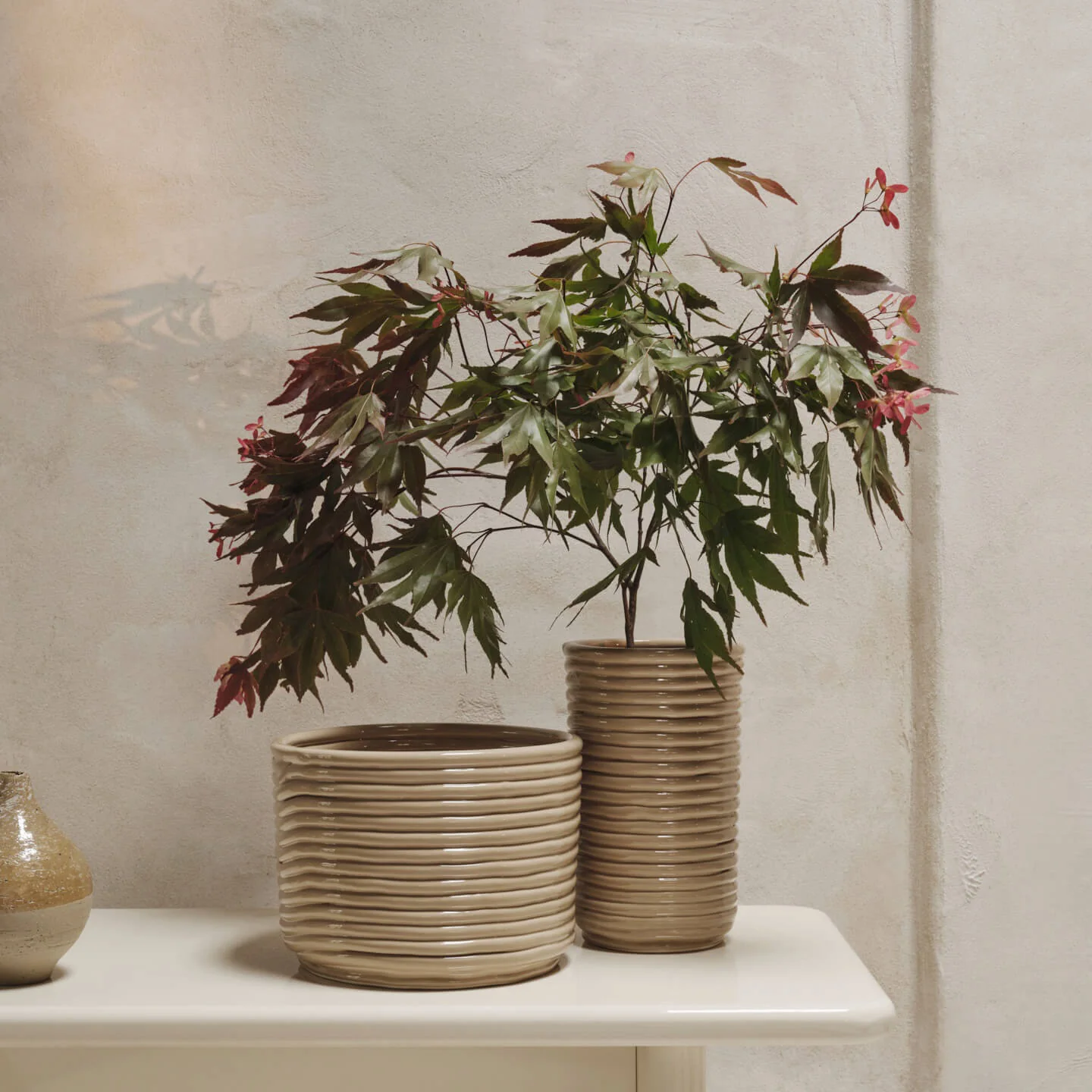 Corduroy Vase - Image 3