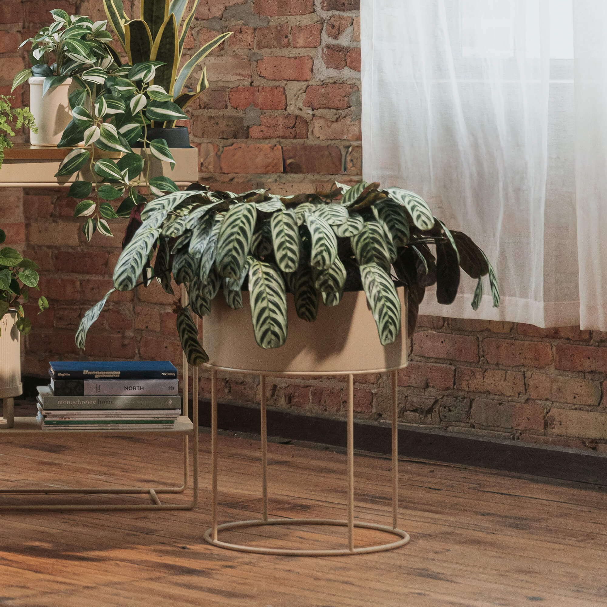 Round Plant Box - Image 4