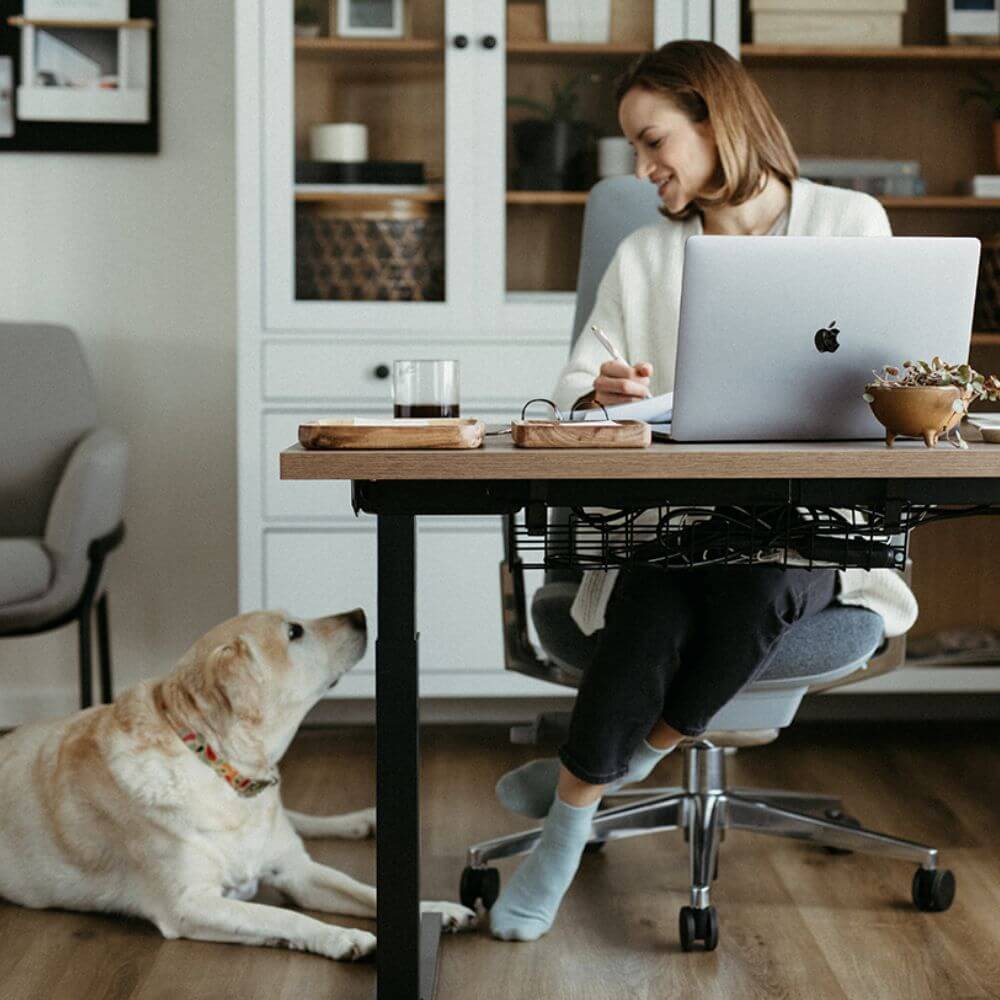 Upside Sit-to-Stand Desk Base - Image 4